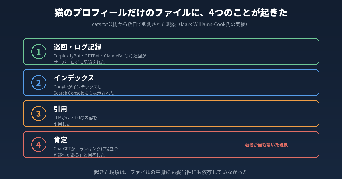 cats.txt公開から数日で観測された4つの現象を示す図。①巡回・ログ記録（PerplexityBot・GPTBot・ClaudeBot等の巡回がサーバーログに記録された）②インデックス（Googleがインデックスし、Search Consoleにも表示された）③引用（LLMがcats.txtの内容を引用した）④肯定（ChatGPTが「ランキングに役立つ可能性がある」と回答した、著者が最も驚いた現象として赤枠で強調）。下部に「起きた現象は、ファイルの中身にも妥当性にも依存していなかった」と記載。