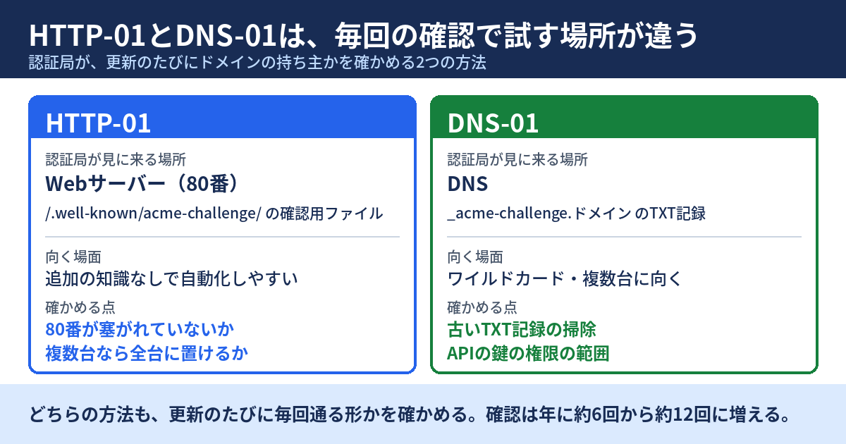ドメイン確認の方法の違いを示した図。HTTP-01は80番ポートのWebサーバーにある確認用ファイルを認証局が取りに来る方法、DNS-01はアンダースコア付きのacme-challenge名のTXT記録を認証局が調べる方法。それぞれの下に、置く場所、向く場面、確かめる点が書かれている。下段に、どちらの方法も更新のたびに毎回通る形かを確かめる、と書かれている。
